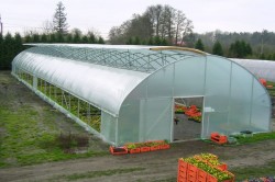 Folia ogrodnicza - tunelowa transparentna Gardenvit szerokość 10m UV10